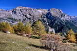 t indien sur la Vallouise - Mlzes encore verts  1800 m, dbut novembre