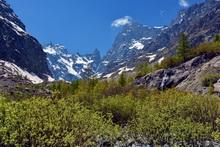 Vallouise-Pelvoux - Glacier Noir, Pic Coolidge, Barre des Écrins
